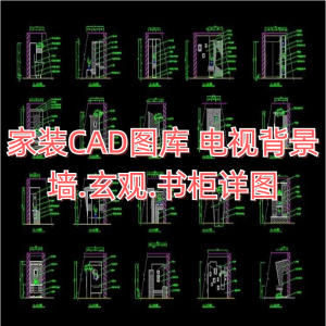 家装CAD图库 电视背景墙.玄观.书柜详图-CAD管家